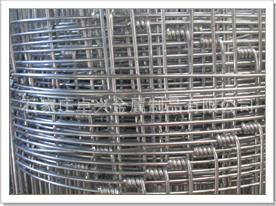 熱鍍鋅草原網 優質草原防護網價格、廠家與產品介紹